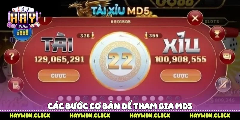 Các bước cơ bản để tham gia MD5