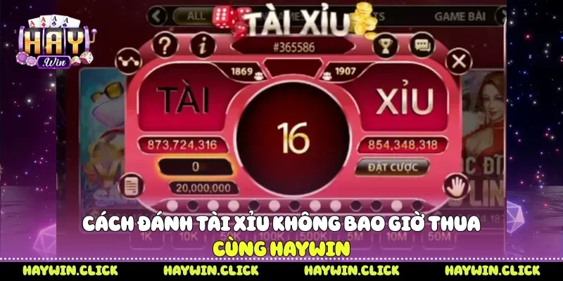 Cách đánh tài xỉu không bao giờ thua