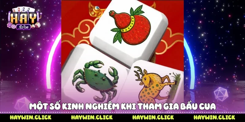 Một số kinh nghiệm khi tham gia bầu cua