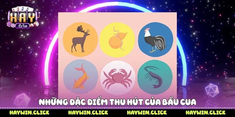 Những đặc điểm thu hút của bầu cua